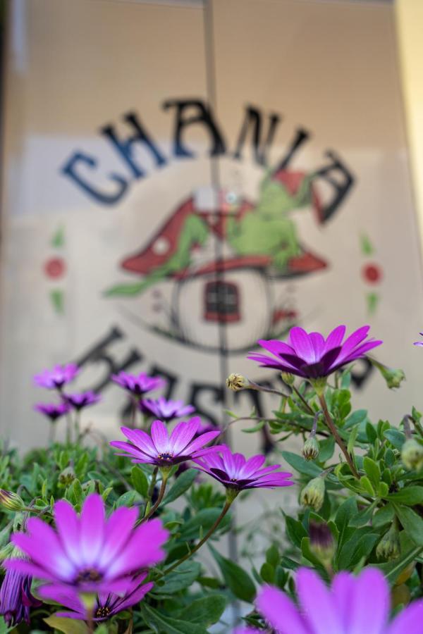 Chania Youth Vandrerhjem *